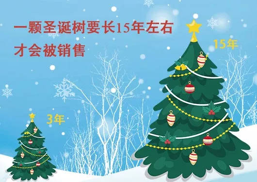 中國最早報道圣誕節(jié)的竟是《人民日報》，你不知道的10個圣誕小知識